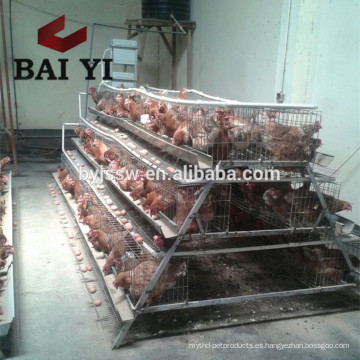 Jaula de la capa del pollo de Anping, jaulas de la batería que ponen las gallinas, equipo de la agricultura avícola